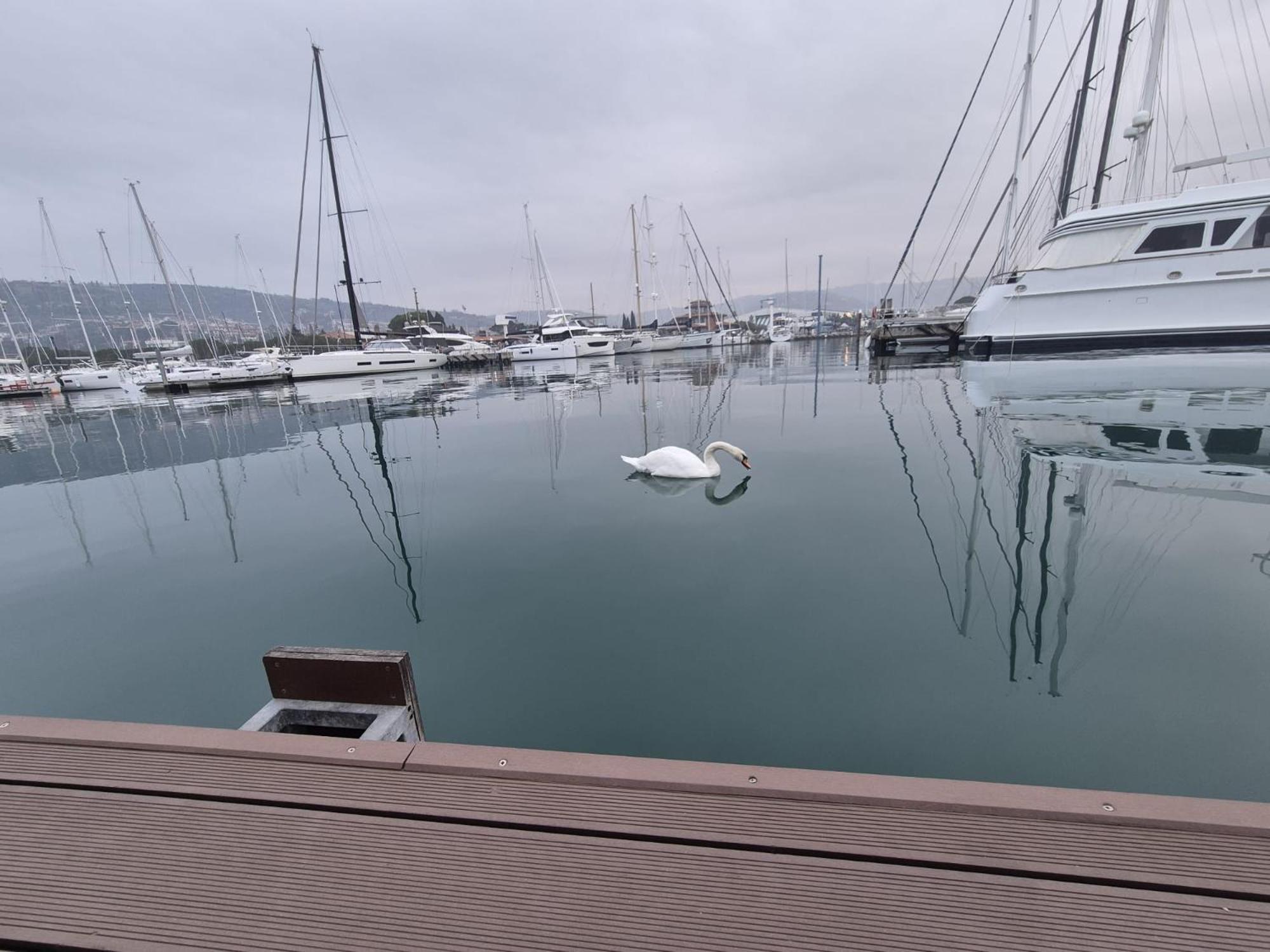 Floating Sea House Aurora Villa Portoroz Exterior photo