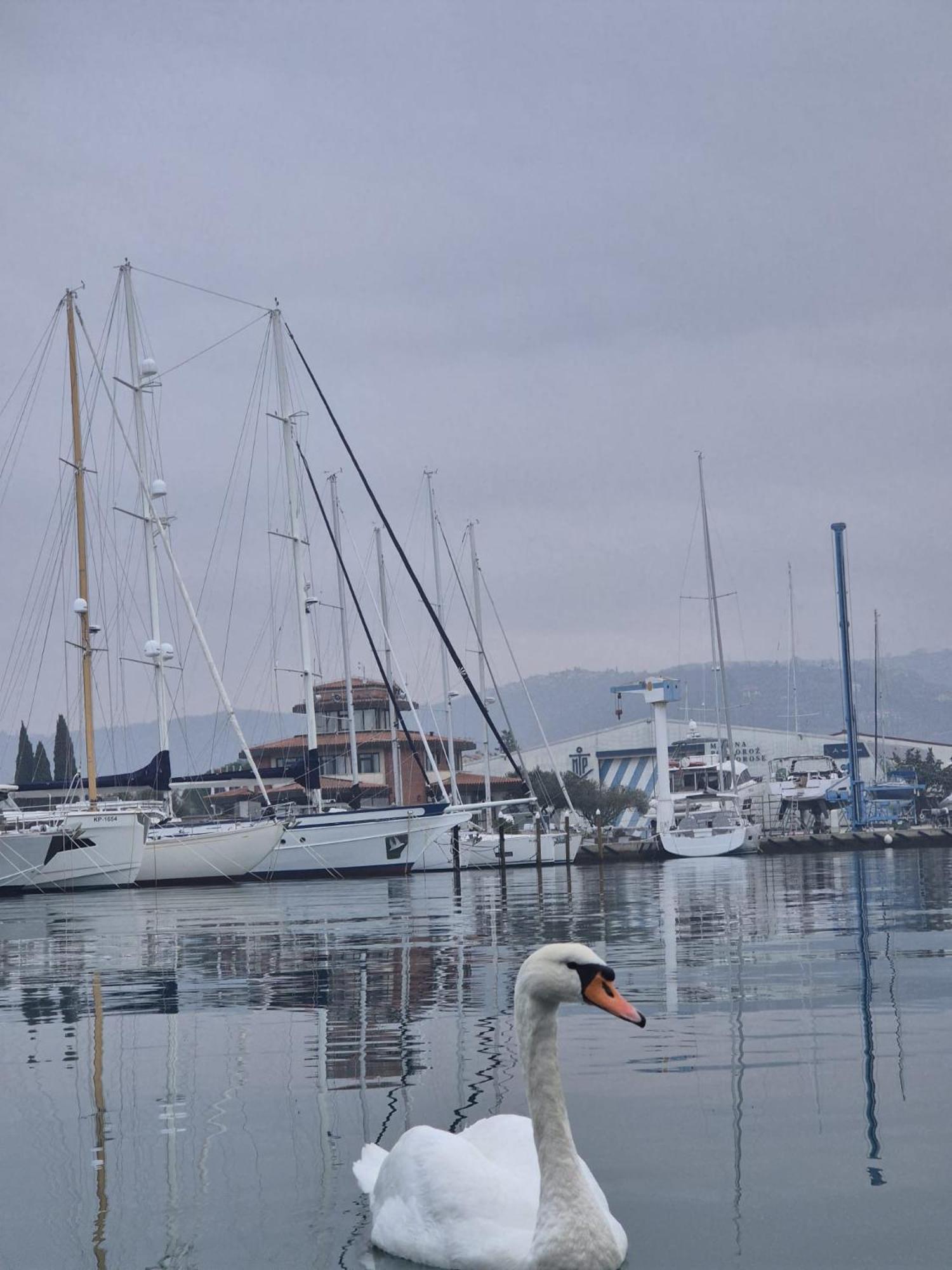 Floating Sea House Aurora Villa Portoroz Exterior photo