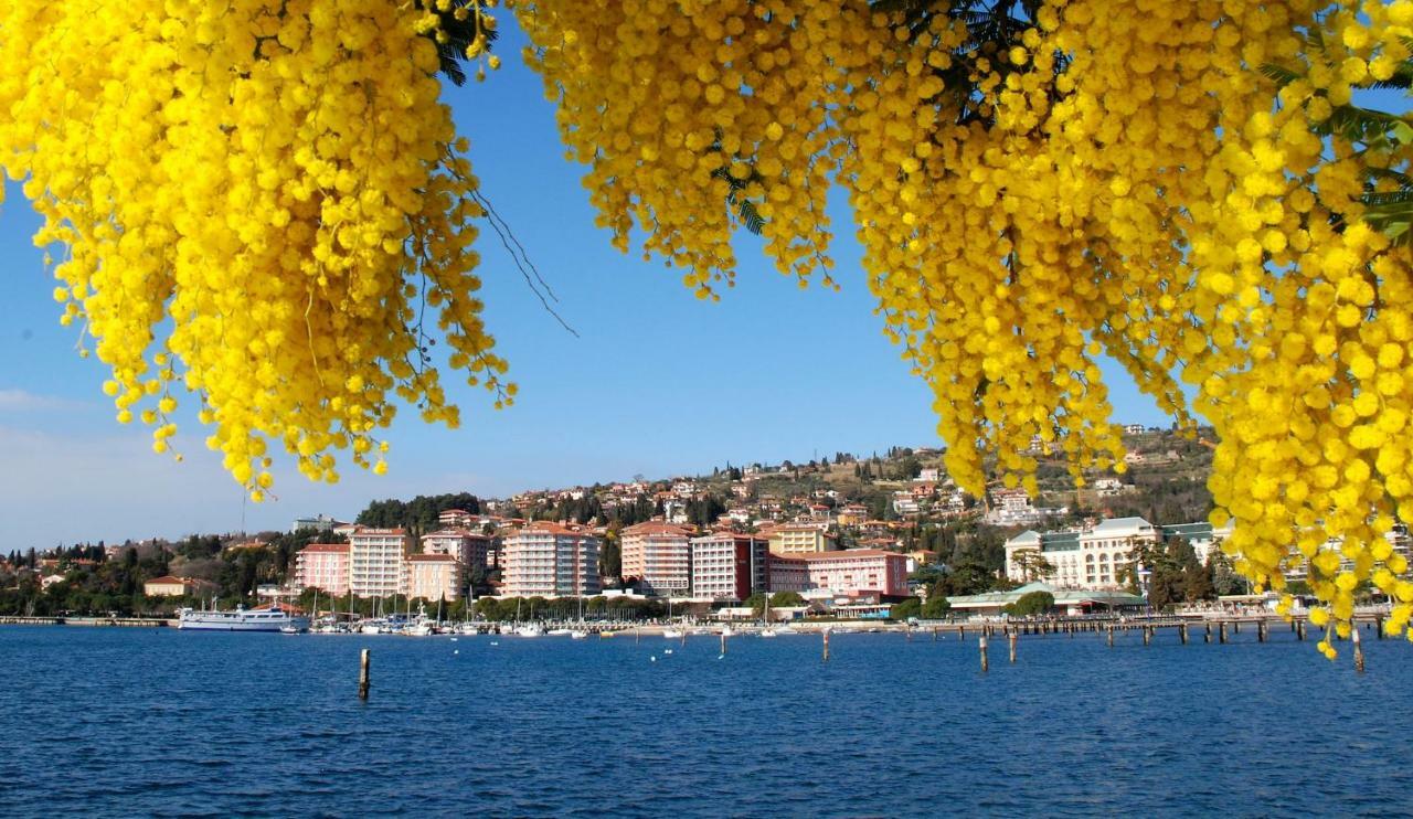 Floating Sea House Aurora Villa Portoroz Exterior photo